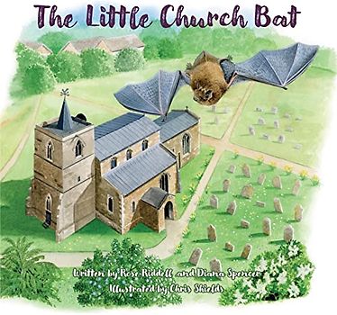 The Little Church Bat