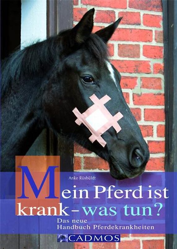 Mein Pferd ist krank - was tun?