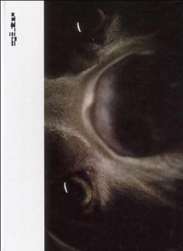 Ambient Motion Pictures - Vis-á-vis DVD