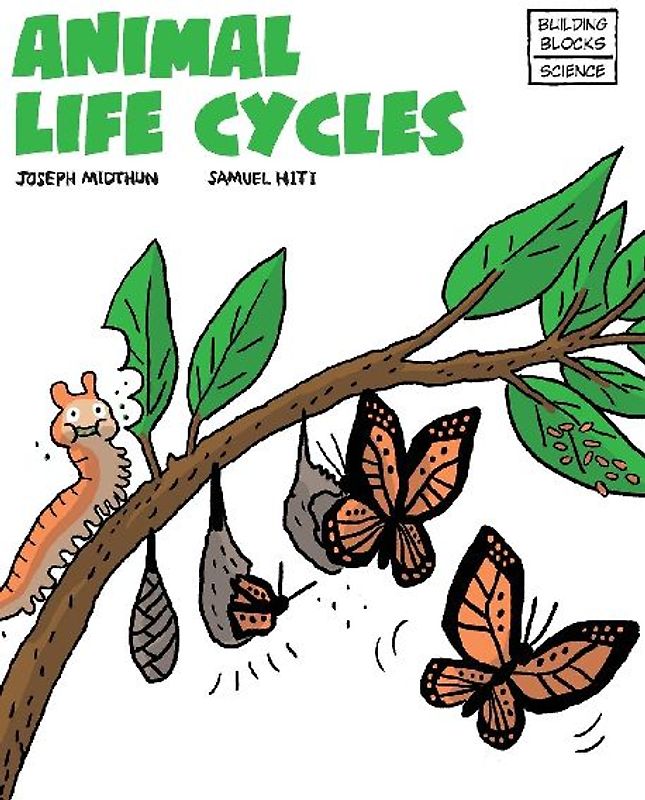Animal Life Cycles