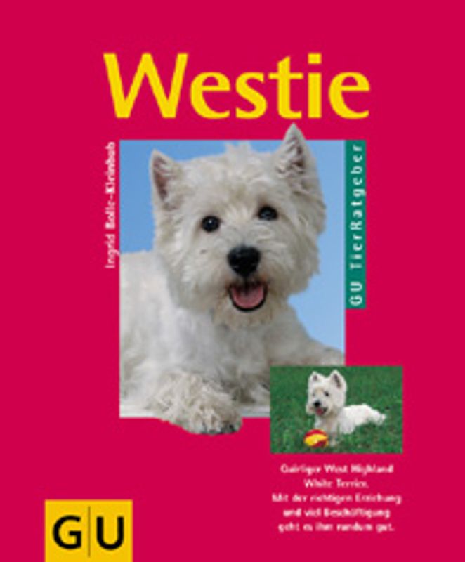 Westie