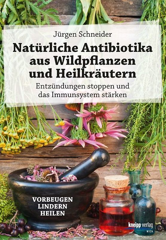 Natürliche Antibiotika aus Wildpflanzen und Heilkräutern