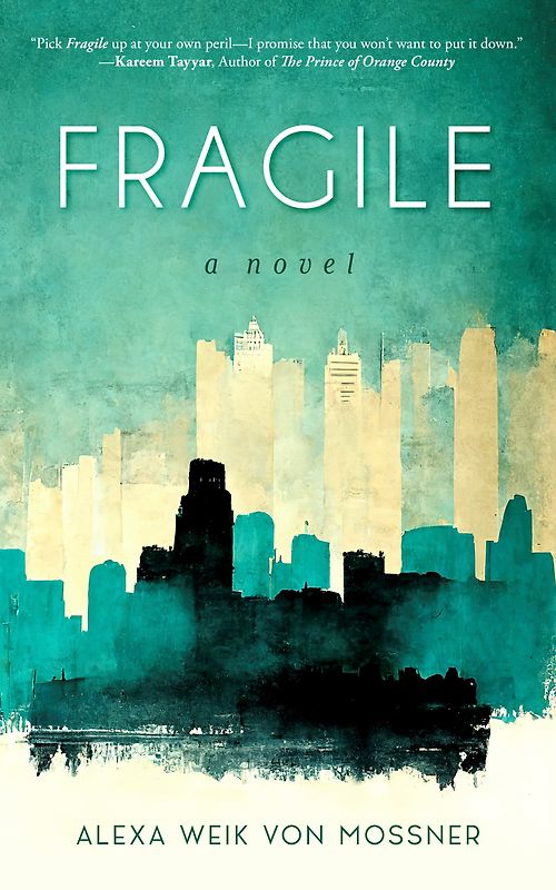 Fragile: A Novel