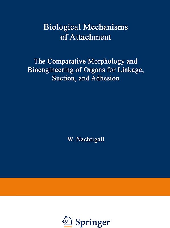 Biological Mechanisms of Attachment