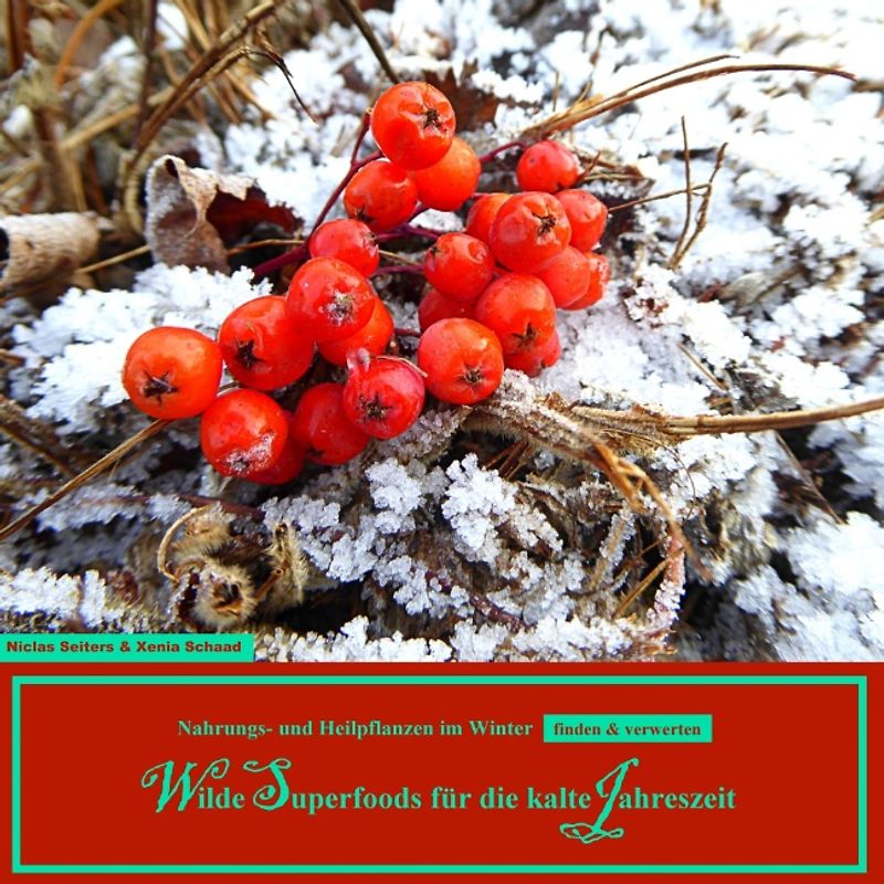 Wilde Superfoods für die kalte Jahreszeit