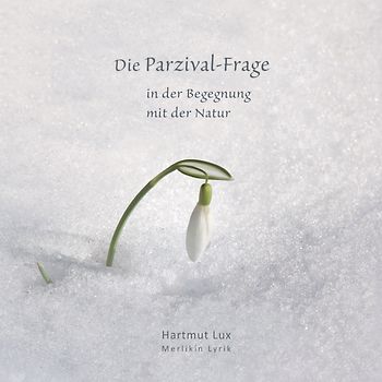 Die Parzival-Frage
