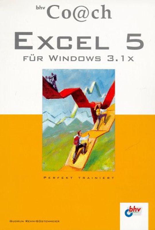 Excel 5 für Windows 3.1x