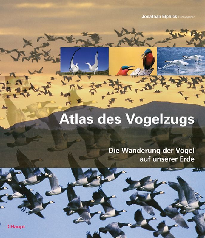 Atlas des Vogelzugs