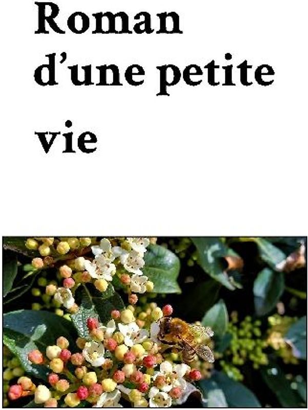 Roman d'une petite vie