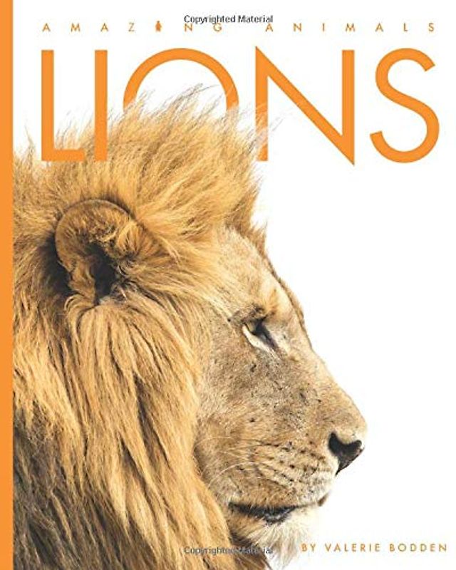Lions (Amazing Animals)