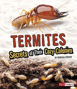 Termites
