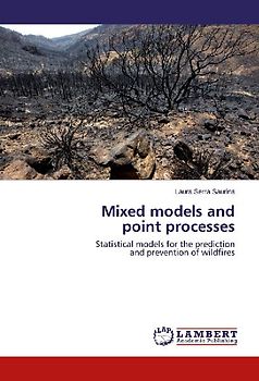 Mixed models and point processes