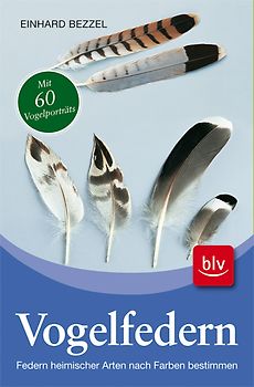 Vogelfedern