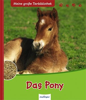 Meine große Tierbibliothek: Das Pony