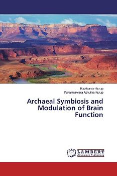 Archaeal Symbiosis and Modulation of Brain Function