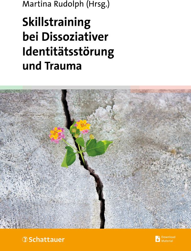 Skillstraining bei Dissoziativer Identitätsstörung und Trauma