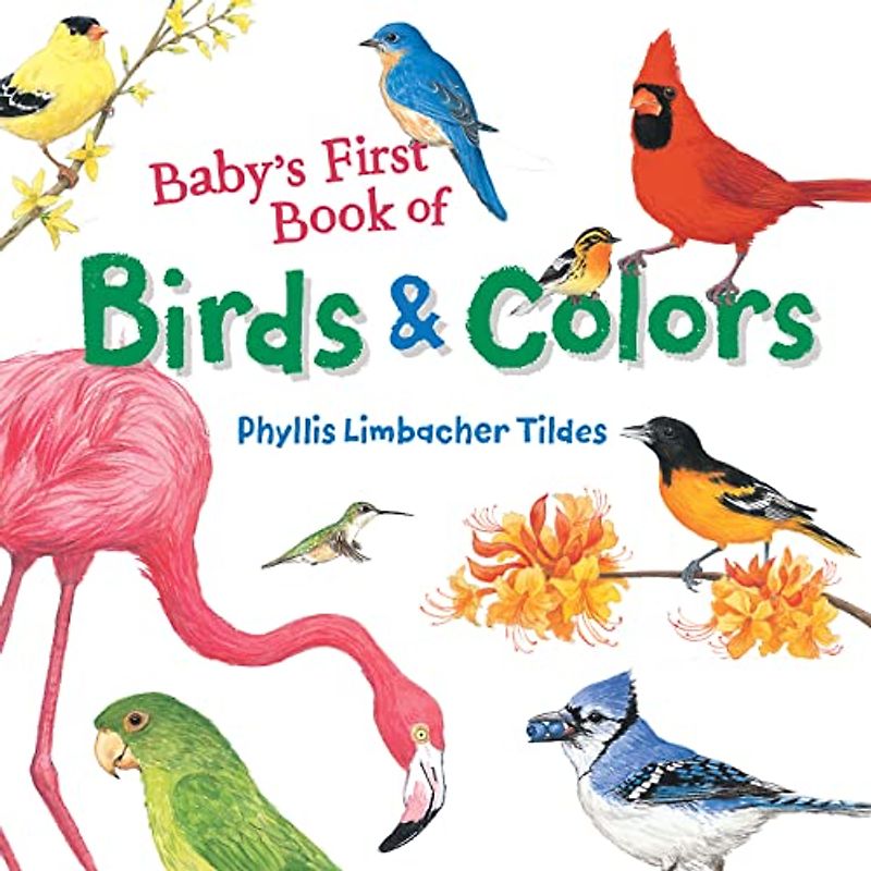 Baby's First Book of Birds & Colors