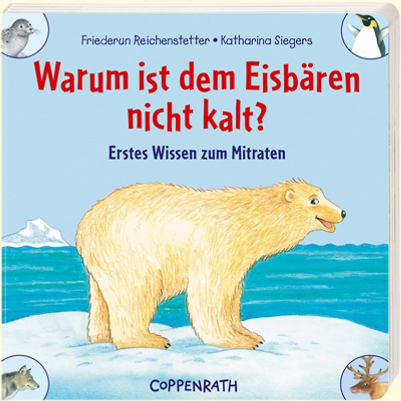 Warum ist dem Eisbären nicht kalt?