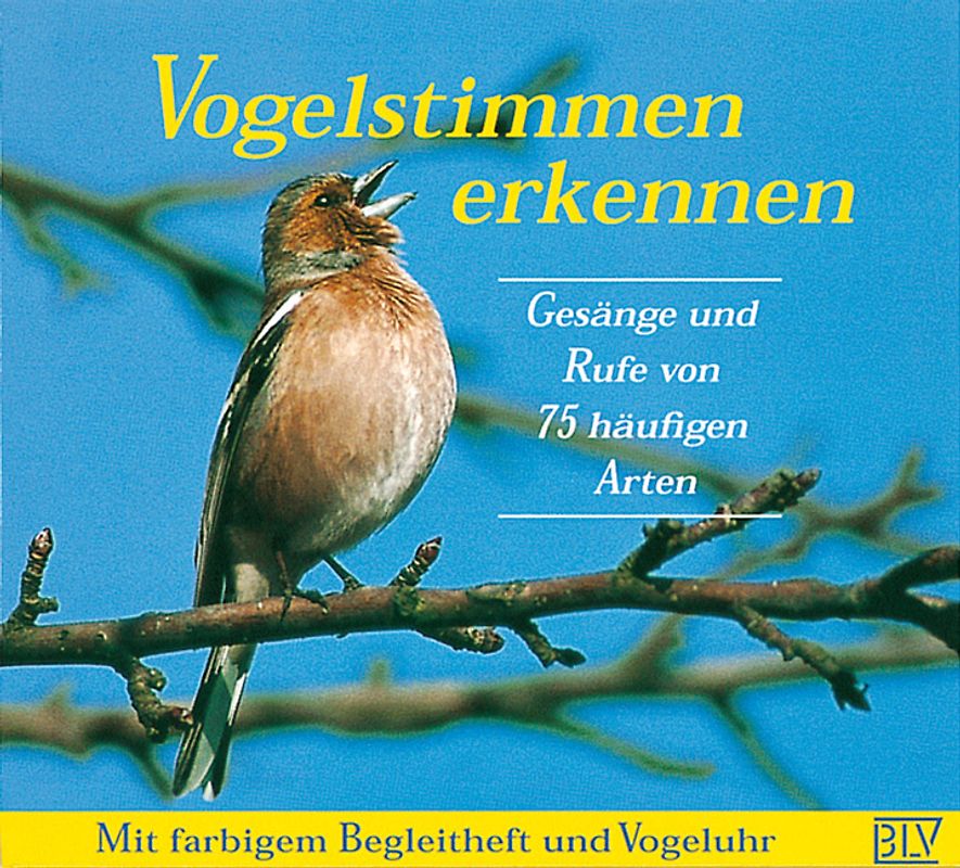 Vogelstimmen erkennen