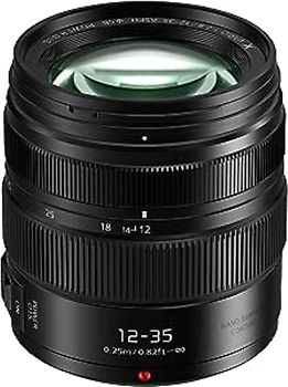 Panasonic Lumix G X VARIO 12-35 mm F2.8 II ASPH. POWER O.I.S. 58 mm Objetivo (Montura Micro Four Thirds) negro