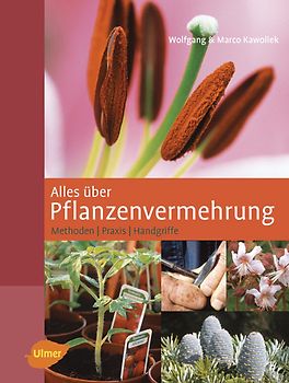 Alles über Pflanzenvermehrung