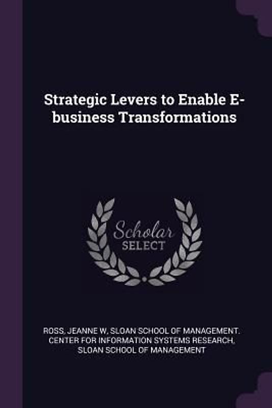 Strategic Levers to Enable E-business Transformations