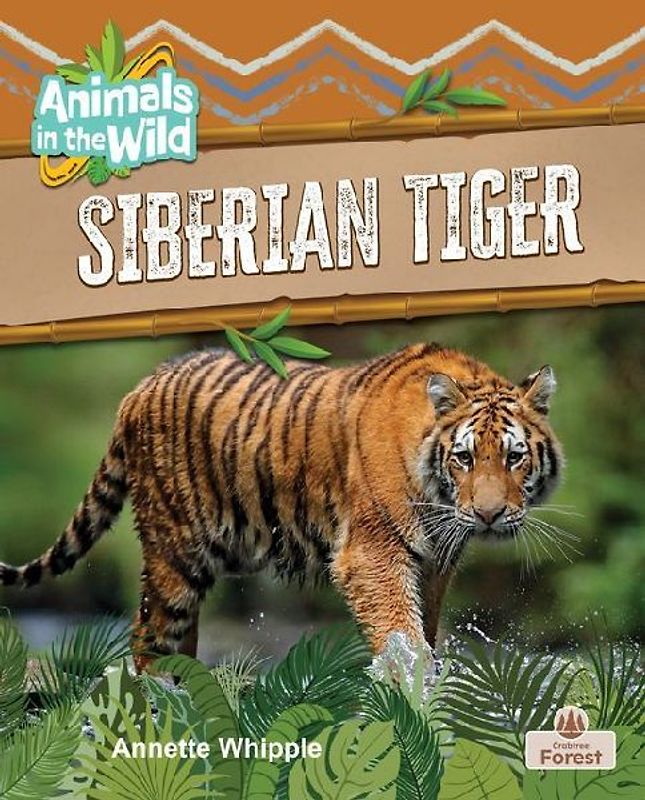 Siberian Tiger