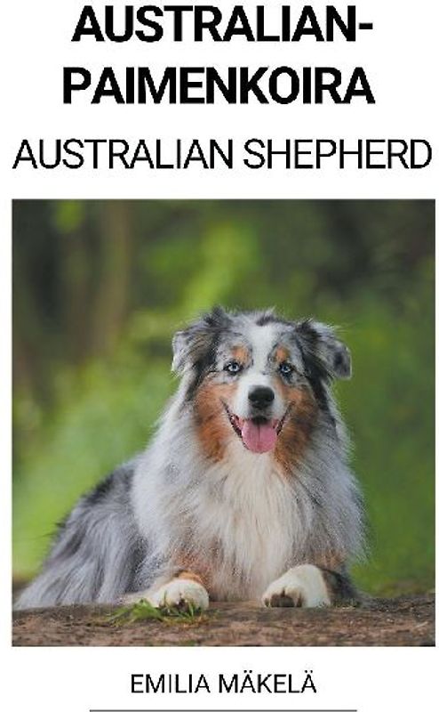 Australianpaimenkoira (Australian Shepherd)