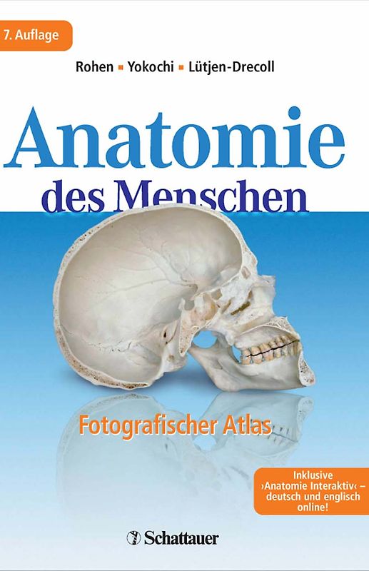 Anatomie des Menschen