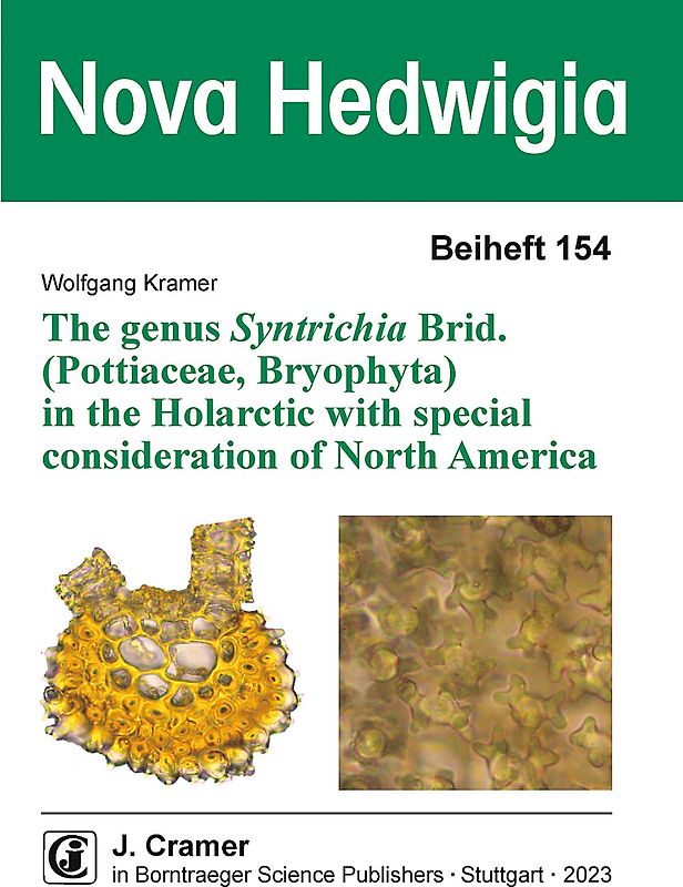 The genus Syntrichia Brid. (Pottiaceae, Bryophyta) in the Holarctic with special consideration of North America
