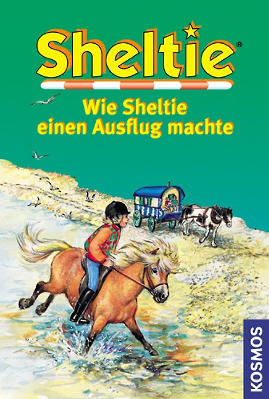 Wie Sheltie einen Ausflug machte