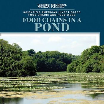 Food Chains in a Pond