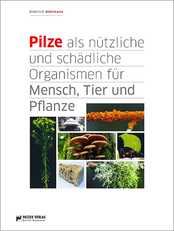 Pilze als nützliche und schädliche Organismen für Mensch. Tier und Pflanze