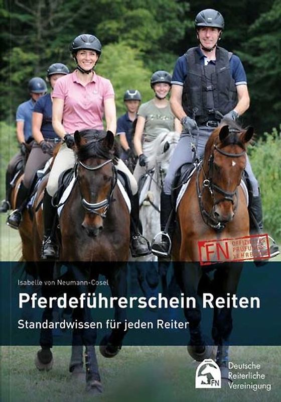 Pferdeführerschein Reiten