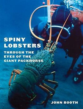 Spiny Lobsters
