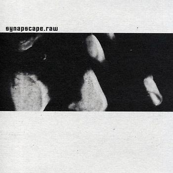 Synapscape - Raw