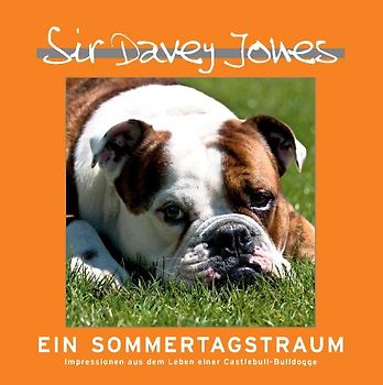 Sir Davey Jones - Ein Sommertagstraum