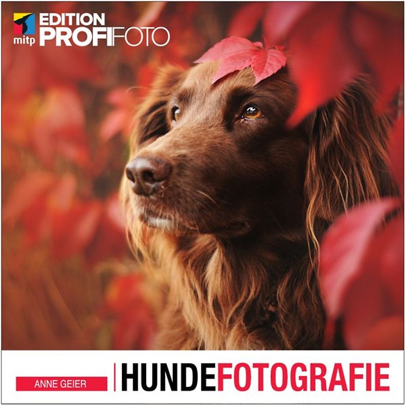 Hundefotografie