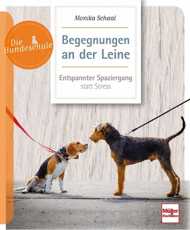 Begegnungen an der Leine