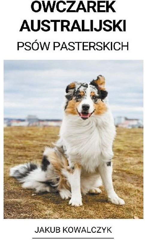 Owczarek Australijski (Psów Pasterskich)