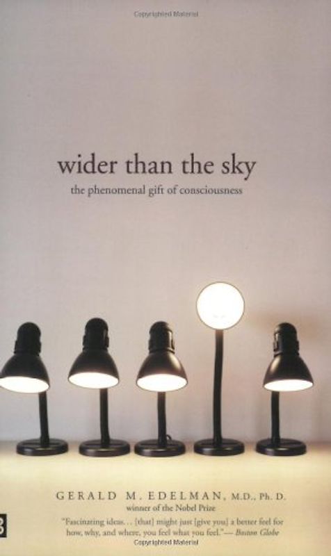 Wider Than the Sky