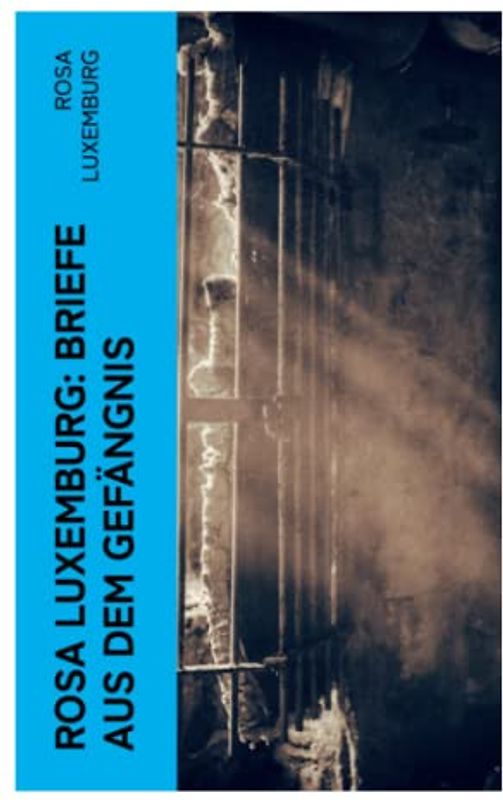 Rosa Luxemburg: Briefe aus dem Gefängnis: Denken und Erfahrungen der internationalen Revolutionärin