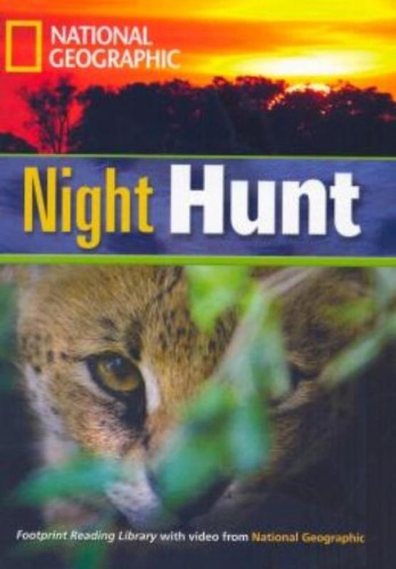 Night Hunt
