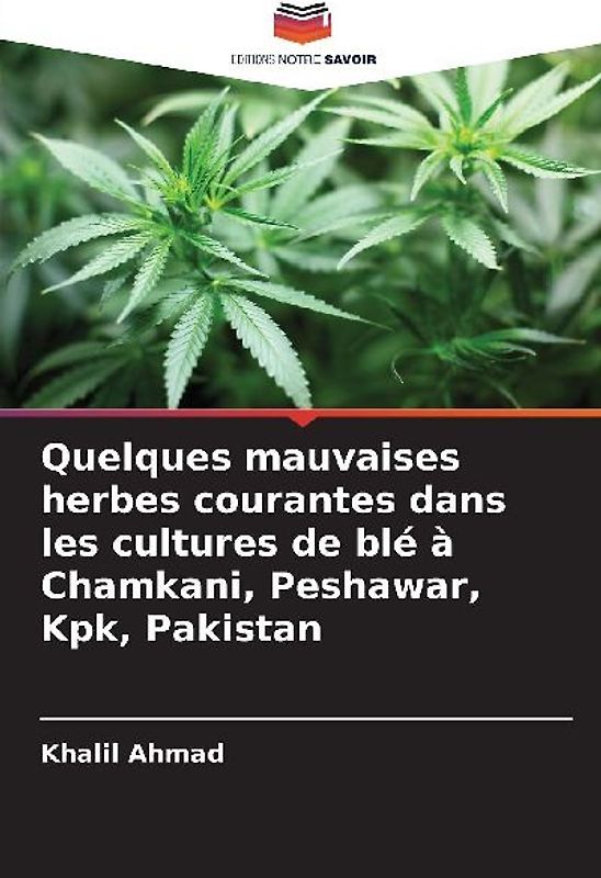 Quelques mauvaises herbes courantes dans les cultures de blé à Chamkani, Peshawar, Kpk, Pakistan