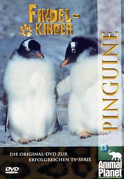 Animal Planet - Findelkinder: Vol. 01 Pinguine DVD