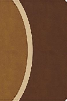 CSB Rainbow Study Bible, Brown Leathertouch (Limited Edition)