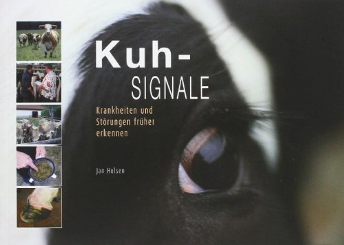 Kuhsignale