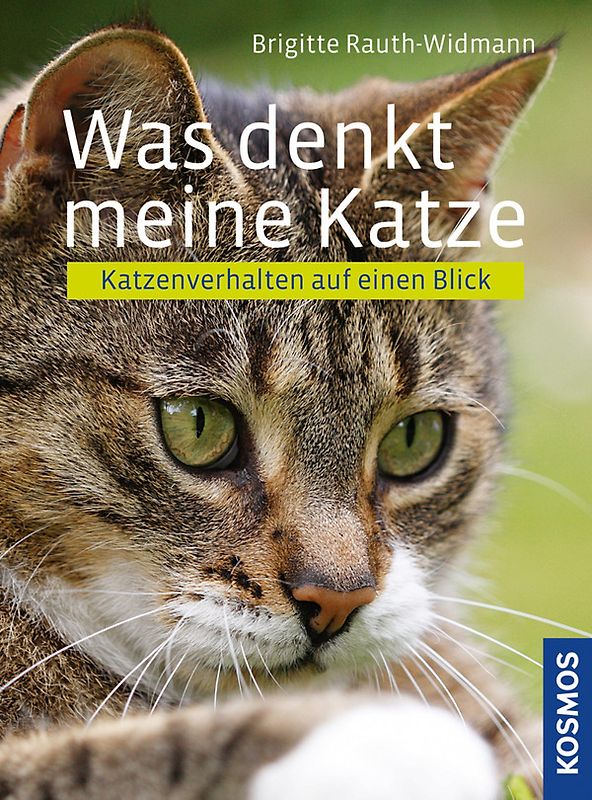 Was denkt meine Katze?