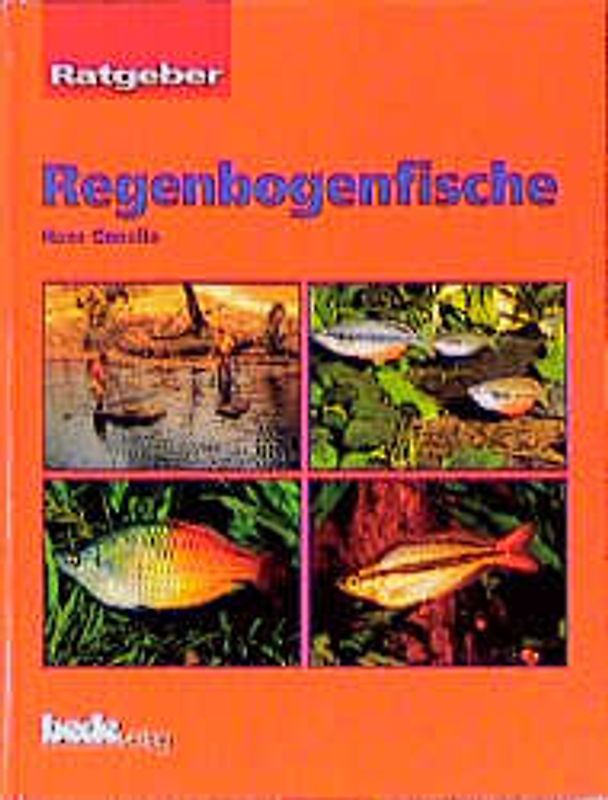 Ratgeber Regenbogenfische