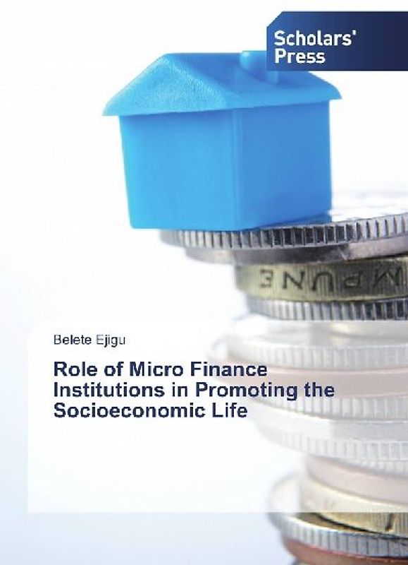 Role of Micro Finance Institutions in Promoting the Socioeconomic Life
